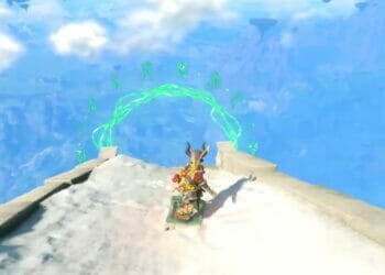 Катание на щите The Legend of Zelda Tears of the Kingdom