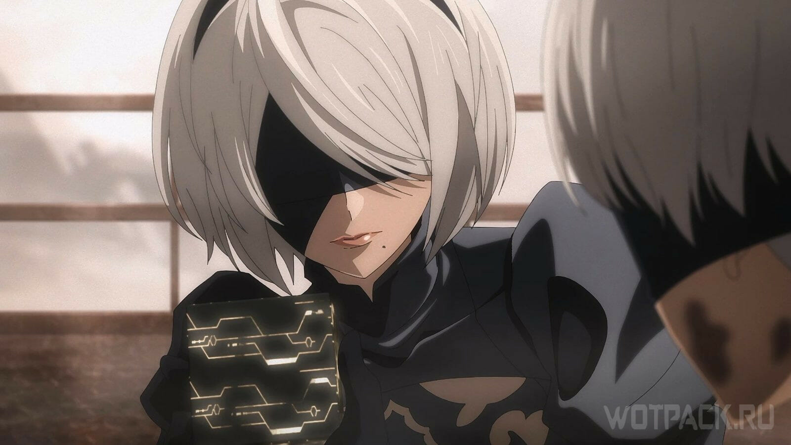 NieR Automata Episodes 9-12 Review - But Why Tho?