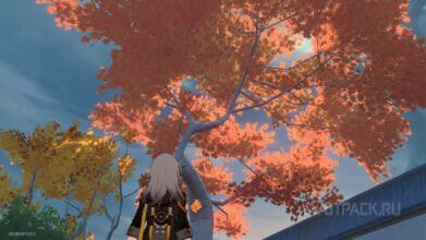 Мимолетный взгляд на знахарские учения в Honkai Star Rail: как найти Атлас лекарственных средств