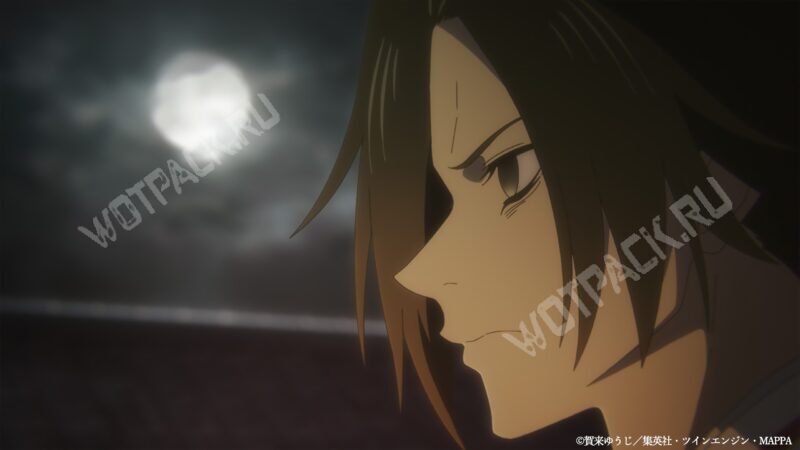 Сюгэн , нахмурившись, смотрит в ночь и размышляет