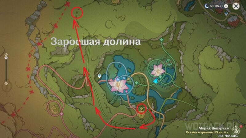 Водяные шары в Мираже Велуриям в Genshin Impact: как решить загадки с Капельками