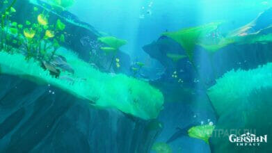 Элтонская впадина в Genshin Impact: как попасть