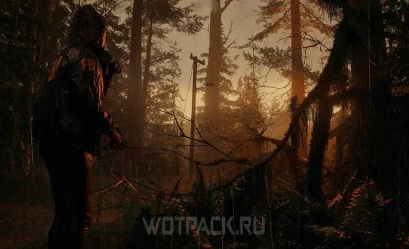 Сложность в Alan Wake 2