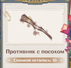 Противник с посохом в Genshin Impact: где найти