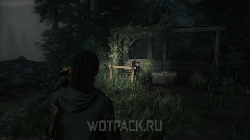 Код от арбалета в Alan Wake 2: где найти пароль