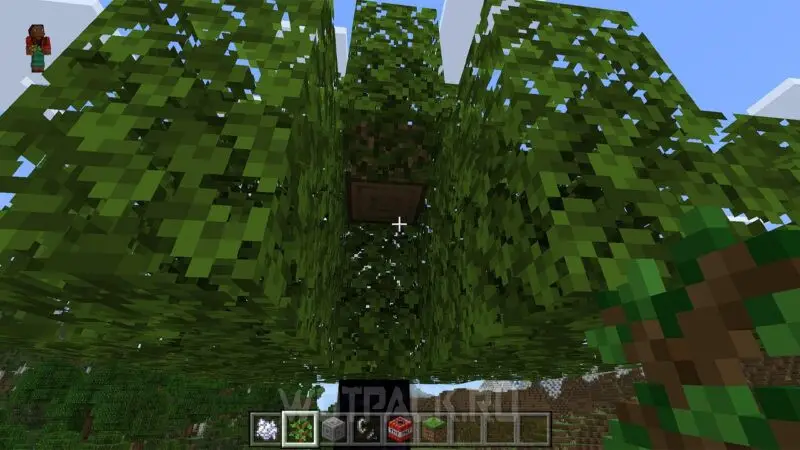 Wood Farm en Minecraft: Cómo construir una granja de madera eficiente