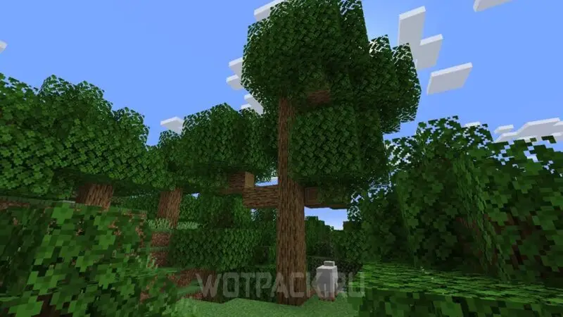 Chêne dans Minecraft