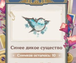 Синее дикое существо в Genshin Impact: где найти для снимков