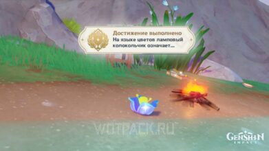 На языке цветов ламповый колокольчик означает в Genshin Impact: как получить достижение