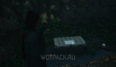 Камень Камень Дерево в Alan Wake 2: как решить загадку и узнать код