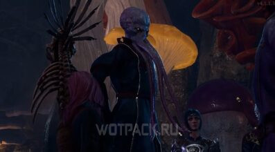 Омелум в Baldur’s Gate 3: как помочь найти язык безумия и споры тиммаска