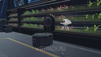 Печь жизни в Honkai Star Rail: как использовать и взрастить всех питомцев