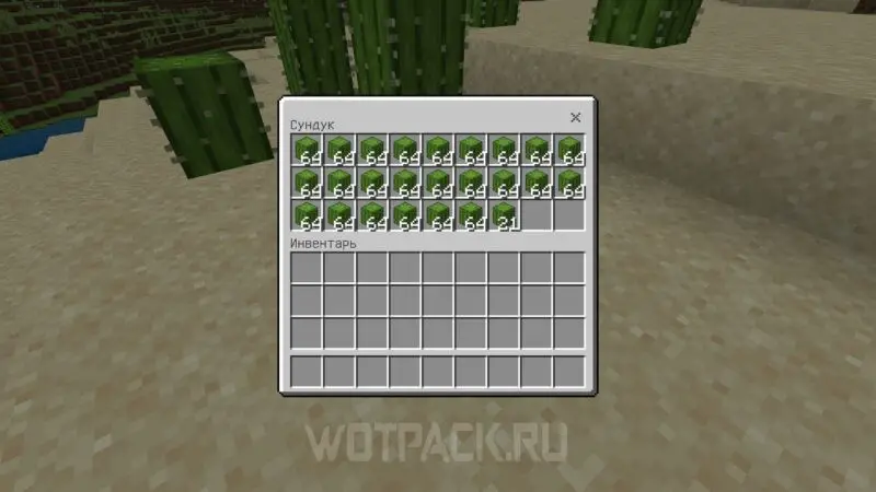 Kaktustila Minecraftissa: kuinka tehdä ja automatisoida kaktusviljelyä