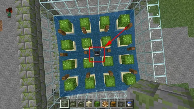 Kaktusfarm i Minecraft: hvordan man laver og automatiserer kaktusavl