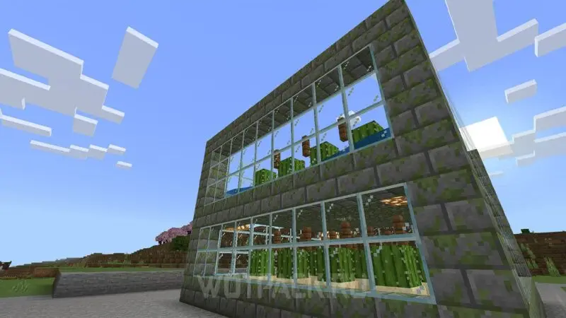 Kaktustila Minecraftissa: kuinka tehdä ja automatisoida kaktusviljelyä