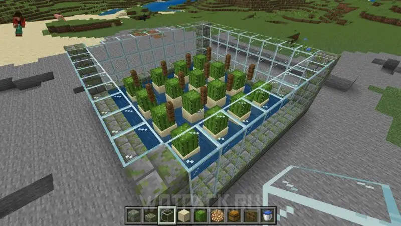 Kaktusfarm i Minecraft: hur man gör och automatiserar kaktusodling