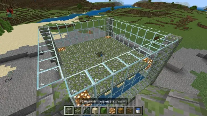 Minecraft में कैक्टि फार्म: कैक्टि खेती कैसे करें और स्वचालित करें