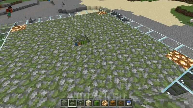 Ferma de cactuși în Minecraft: cum să faci și să automatizezi cultivarea cactușilor
