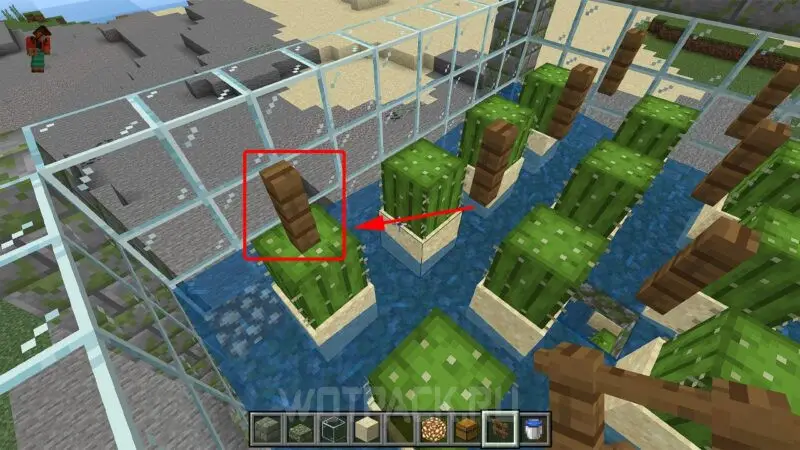 Kaktuszfarm a Minecraftban: hogyan készítsünk és automatizáljunk kaktusztenyésztést
