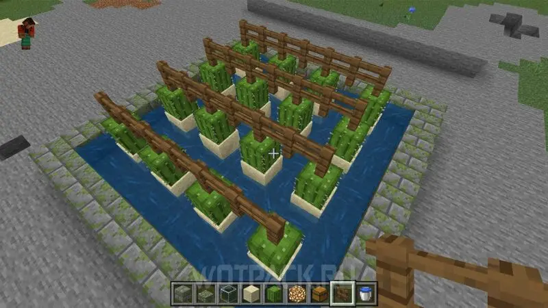 Ферма кактусів у Minecraft: як зробити та автоматизувати фарм кактусів