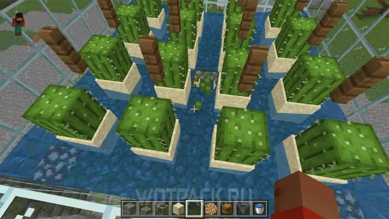 Kaktuste talu Minecraftis: kuidas kaktuste kasvatamist teha ja automatiseerida