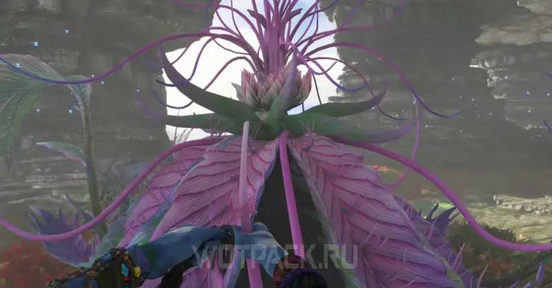 Цветы тарсъю в Avatar Frontiers of Pandora