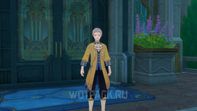 Леруа: Предсмертное просветление в Genshin Impact – как пройти