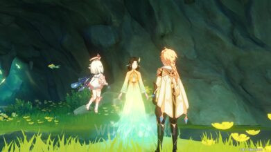 Священные горы, деревня Цяоин в Genshin Impact: как решить головоломку