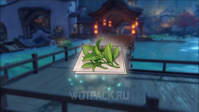 Чай Адептов Чэньюй в Genshin Impact: где найти и купить