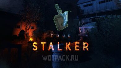 Генераторы в True Stalker: как отключить электричество