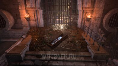 Скелет Сарин в Baldur’s Gate 3: что вставить и где найти череп
