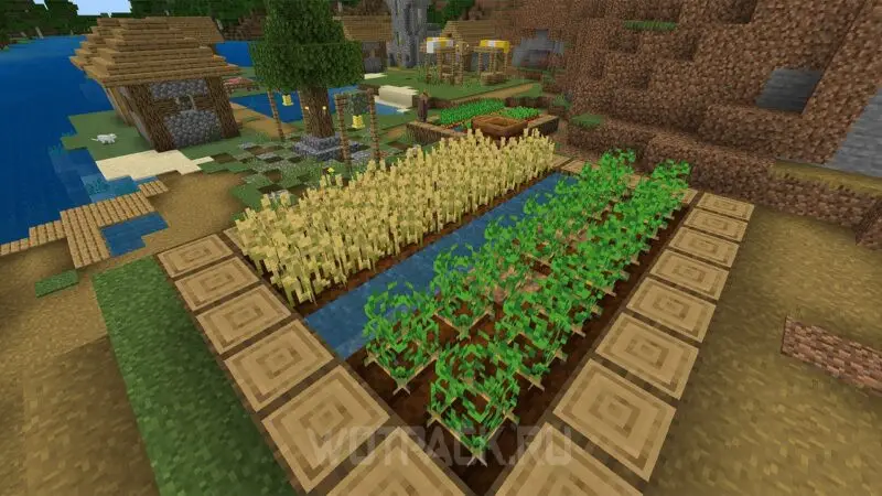 Автоматична ферма от пшеница, картофи, моркови и цвекло в Minecraft: как да направите