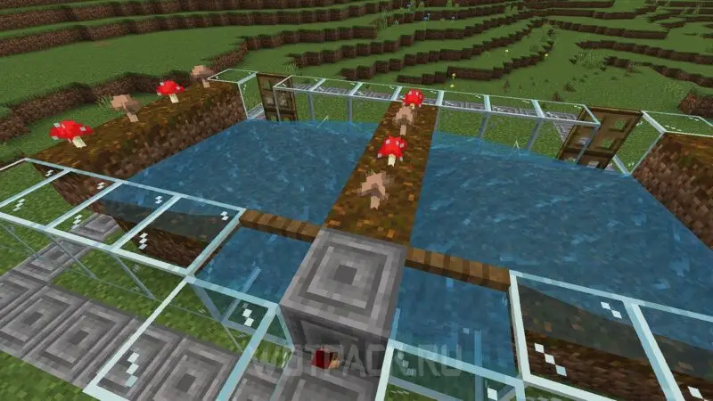 Mushroom Farm in Minecraft: How to Grow Mushrooms