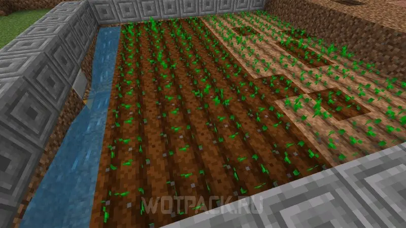 Automatikus búza-, burgonya-, sárgarépa- és répafarm a Minecraftban: hogyan kell elkészíteni