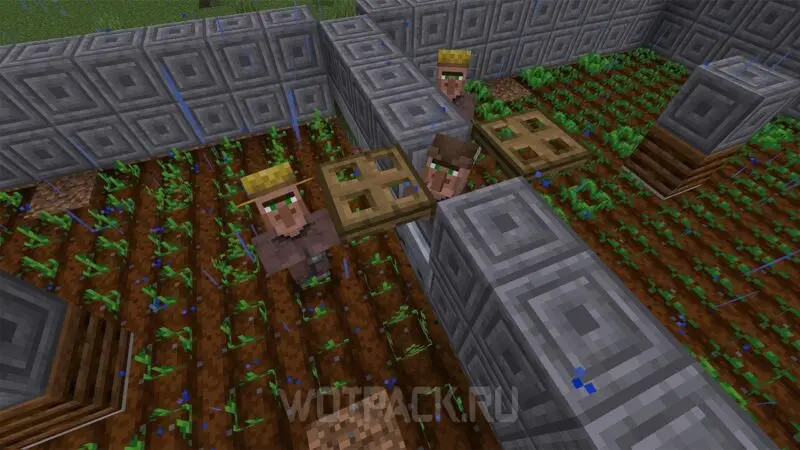 Automatisk gård av hvete, poteter, gulrøtter og rødbeter i Minecraft: hvordan lage