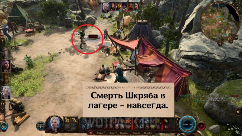 Шкряб в Baldur’s Gate 3: как найти и приручить собаку