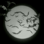 Kelelawar dengan latar belakang bulan