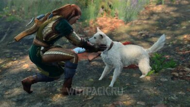 Шкряб в Baldur’s Gate 3: как найти и приручить собаку