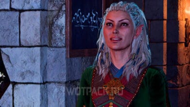 Джахейра в Baldur’s Gate 3: как завербовать в отряд и завести роман