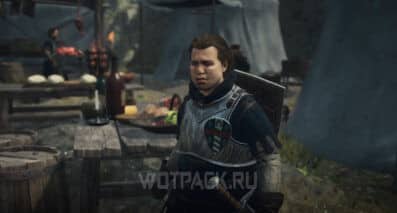 Затруднения поставщика в Dragon’s Dogma 2: где найти целебные снадобья и картофель