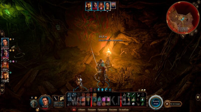 Zarostlý tunel v Baldur's Gate 3: jak otevřít křivé dveře