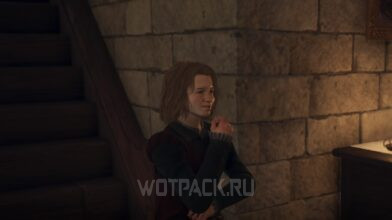 Дом синего подсолнуха в Dragon’s Dogma 2: что дать Себастьяну