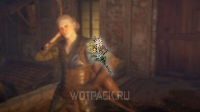 Подарки в Dragon’s Dogma 2: как дарить пешке и НПС