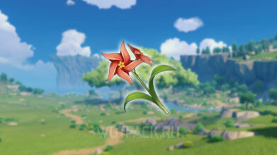 Ветряная астра в Genshin Impact: где найти и купить в Мондштадте