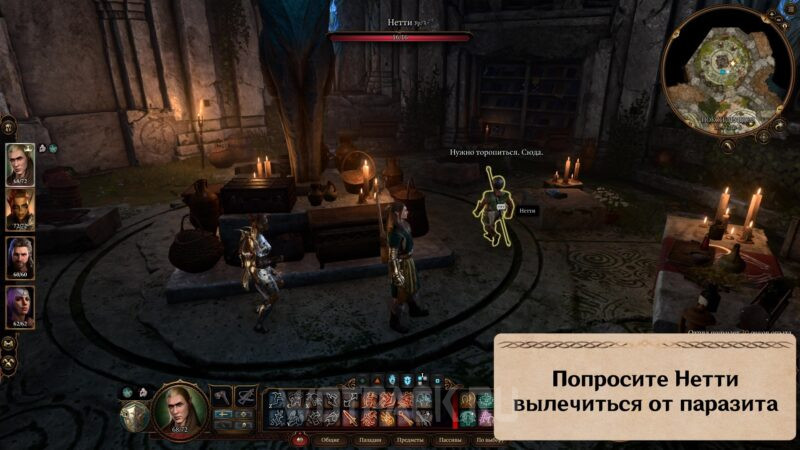 Изумрудная роща в Baldur’s Gate 3: все квесты и персонажи