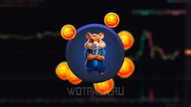 Как играть в Hamster Kombat: стратегия прокачки – гайд