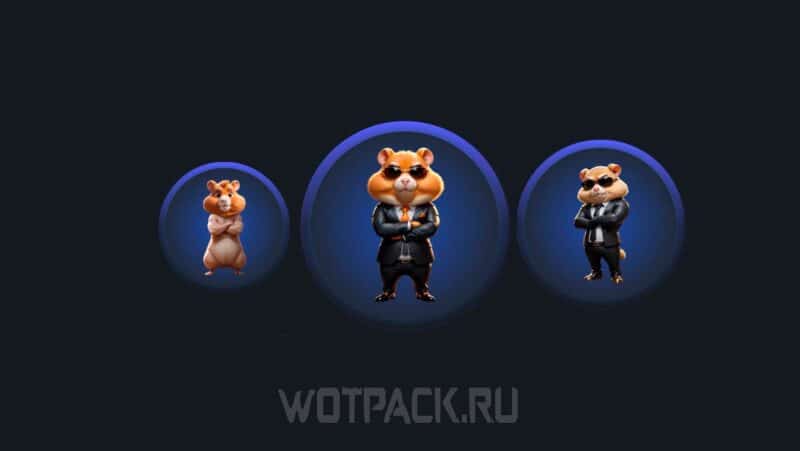 Накрутка рефералов в Hamster Kombat: где купить рефералов в Хомяке и найти бесплатно