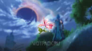 Pecok Flower в Wuthering Waves: где найти цветок пекока в ВуВе