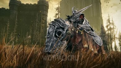 Командующий Гай в Elden Ring: как найти и победить босса