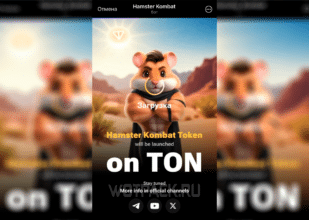 Павел Дуров анонсировал выход Hamster Kombat на блокчейне TON
